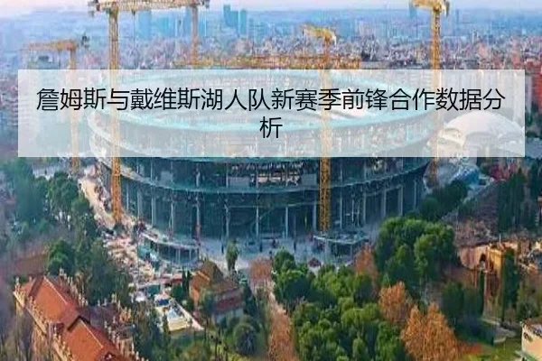 詹姆斯与戴维斯湖人队新赛季前锋合作数据分析